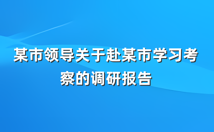某市领导关于赴某市学习考察的调研报告