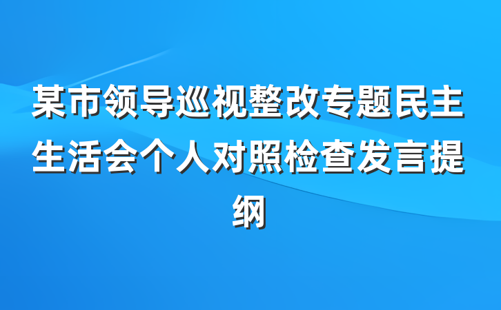 某市领导巡视整改专题民主生活会个人对照检查发言提纲