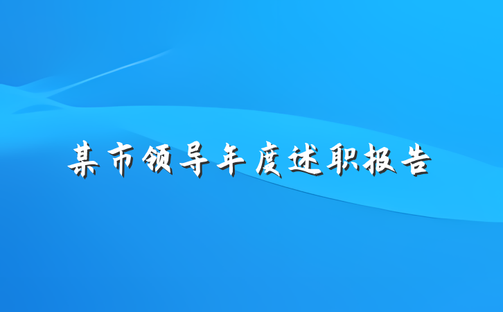 某市领导年度述职报告