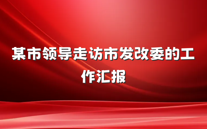 某市领导走访市发改委的工作汇报