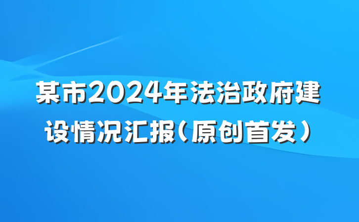 某市2024年法治政府建设情况汇报（原创首发）