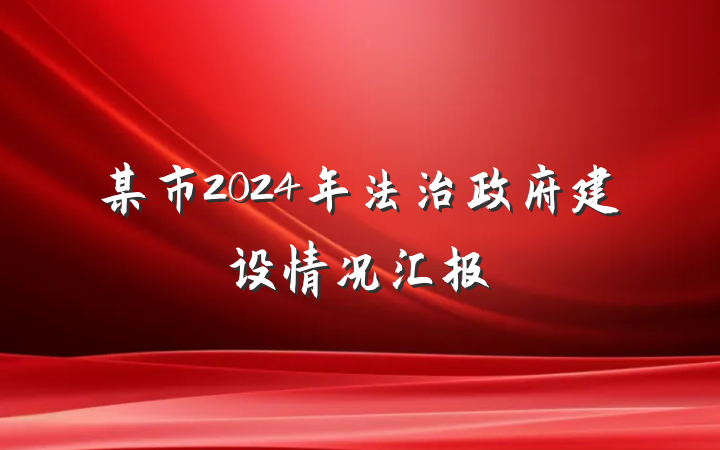 某市2024年法治政府建设情况汇报