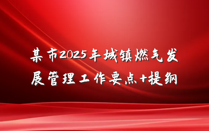 某市2025年城镇燃气发展管理工作要点 提纲
