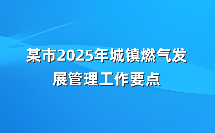 某市2025年城镇燃气发展管理工作要点