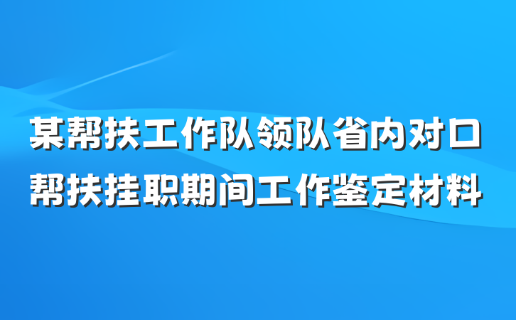某帮扶工作队领队省内对口帮扶挂职期间工作鉴定材料