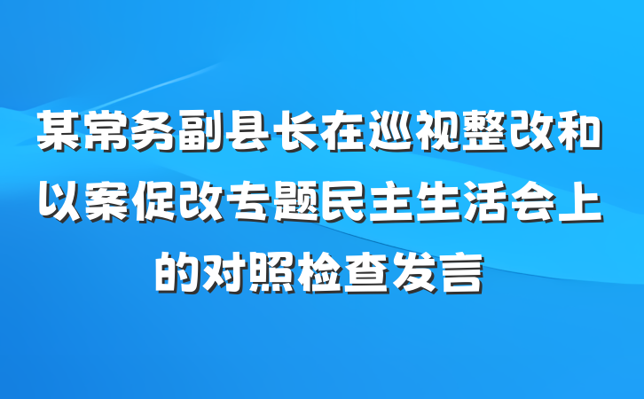 某常务副县长在巡视整改和以案促改专题民主生活会上的对照检查发言
