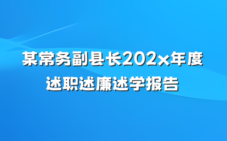 某常务副县长202x年度述职述廉述学报告