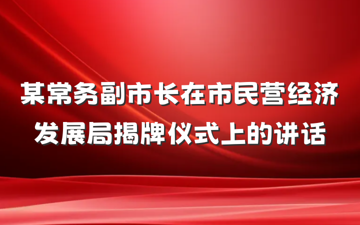 某常务副市长在市民营经济发展局揭牌仪式上的讲话