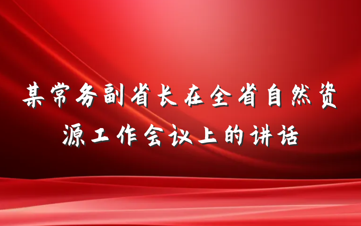 某常务副省长在全省自然资源工作会议上的讲话
