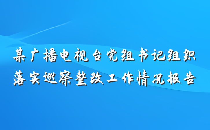 某广播电视台党组书记组织落实巡察整改工作情况报告