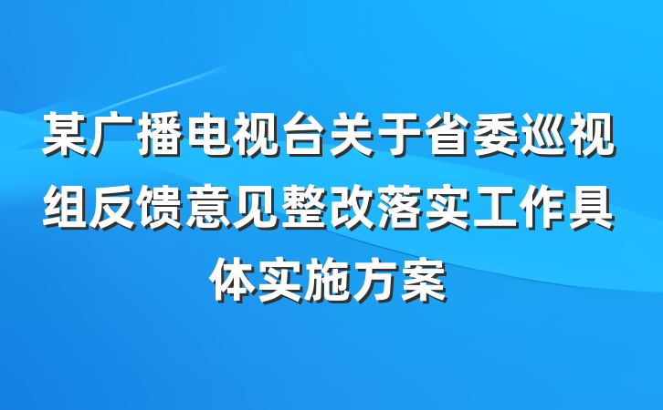 某广播电视台关于省委巡视组反馈意见整改落实工作具体实施方案