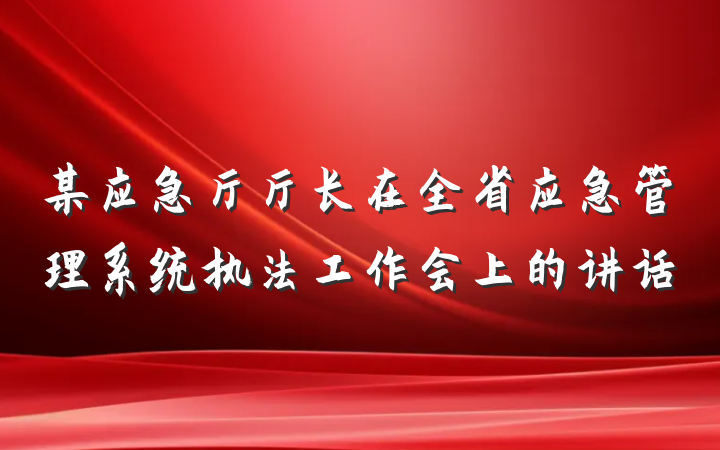 某应急厅厅长在全省应急管理系统执法工作会上的讲话