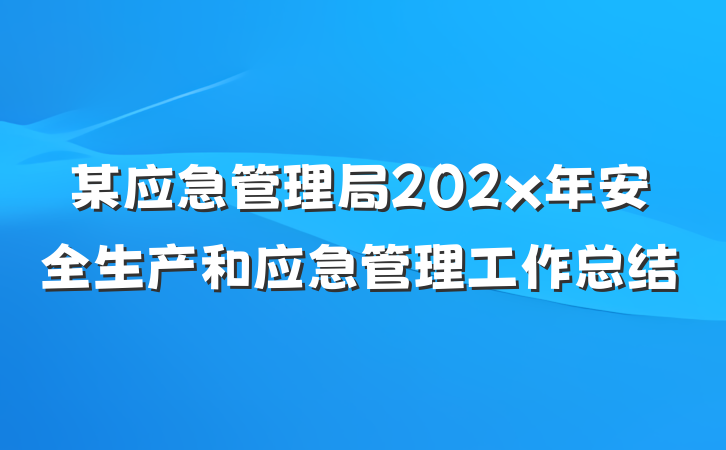 某应急管理局202x年安全生产和应急管理工作总结