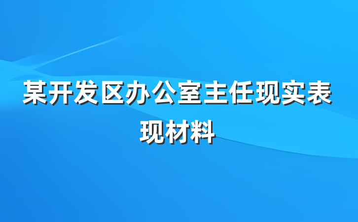 某开发区办公室主任现实表现材料