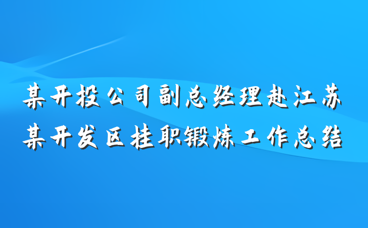 某开投公司副总经理赴江苏某开发区挂职锻炼工作总结