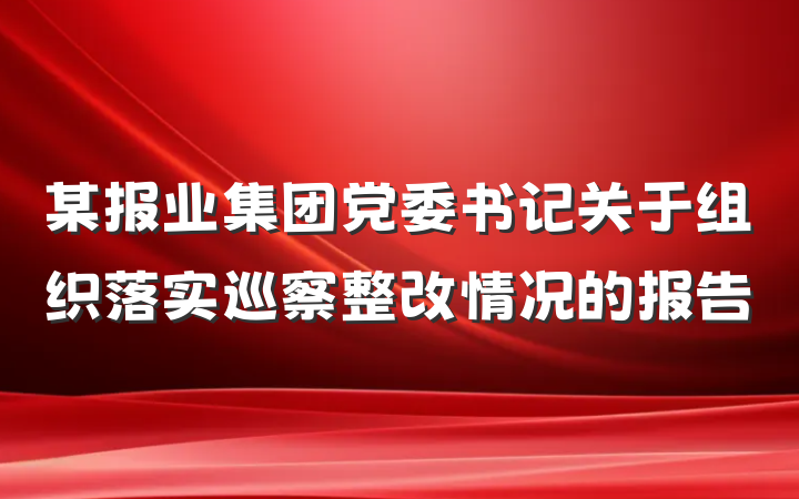 某报业集团党委书记关于组织落实巡察整改情况的报告
