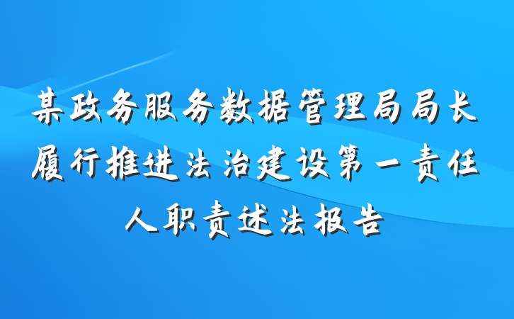 某政务服务数据管理局局长履行推进法治建设第一责任人职责述法报告