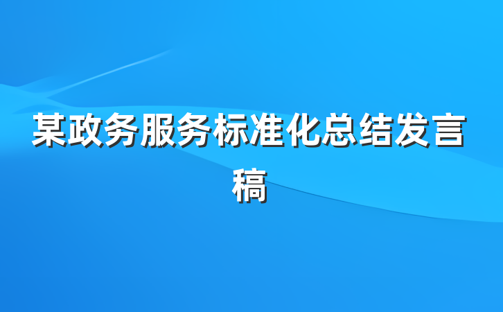 某政务服务标准化总结发言稿