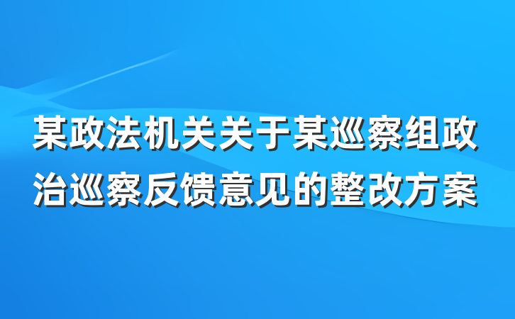 某政法机关关于某巡察组政治巡察反馈意见的整改方案