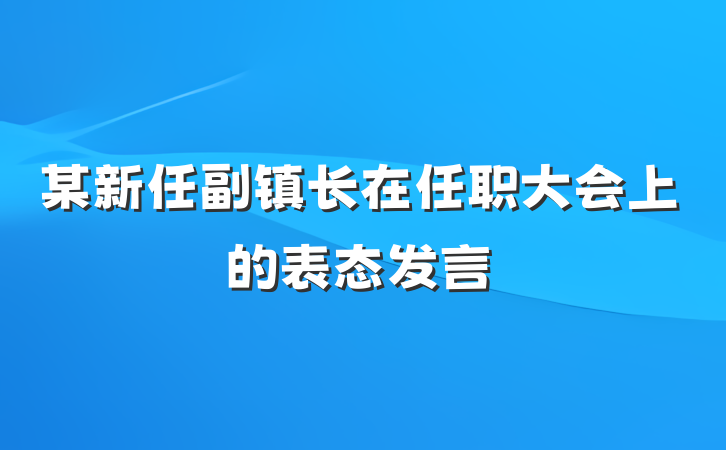 某新任副镇长在任职大会上的表态发言