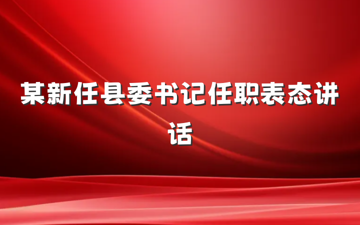 某新任县委书记任职表态讲话