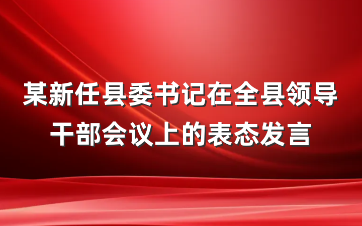 某新任县委书记在全县领导干部会议上的表态发言
