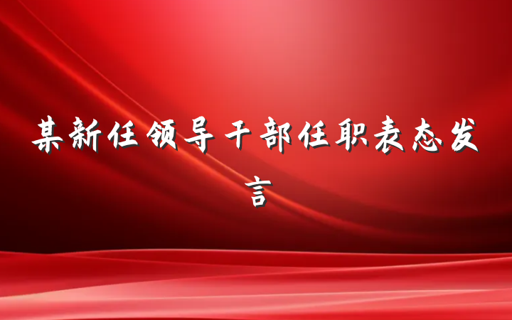 某新任领导干部任职表态发言