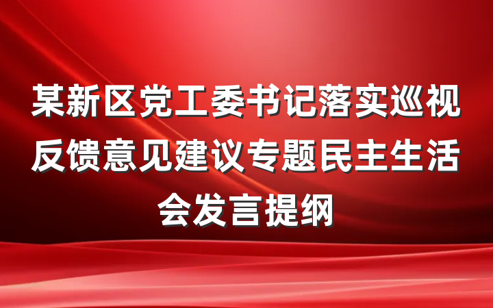某新区党工委书记落实巡视反馈意见建议专题民主生活会发言提纲