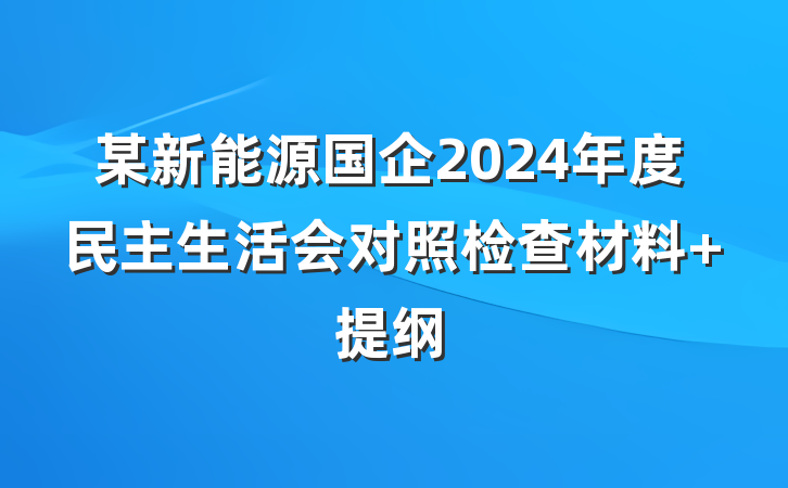 某新能源国企2024年度民主生活会对照检查材料 提纲