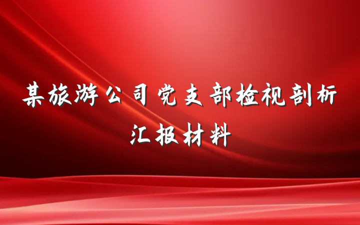某旅游公司党支部检视剖析汇报材料