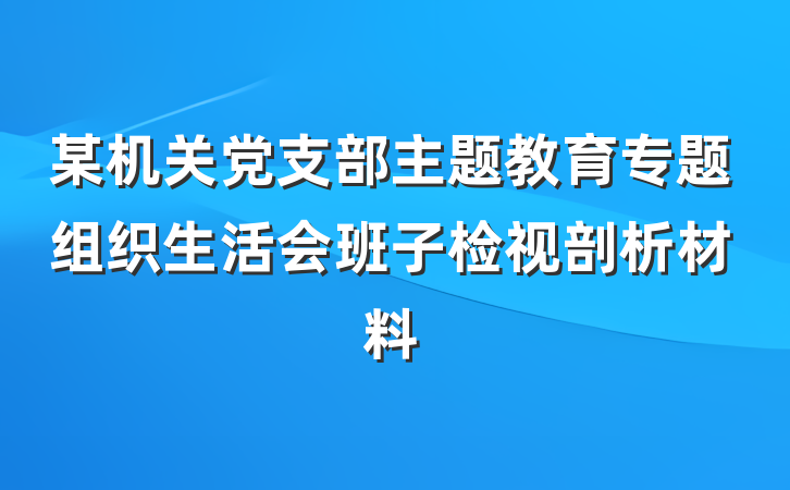 某机关党支部主题教育专题组织生活会班子检视剖析材料
