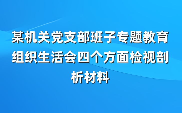 某机关党支部班子专题教育组织生活会四个方面检视剖析材料