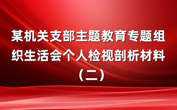 某机关支部主题教育专题组织生活会个人检视剖析材料（二）
