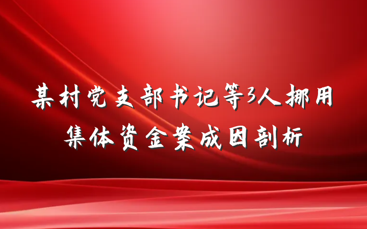 某村党支部书记等3人挪用集体资金案成因剖析