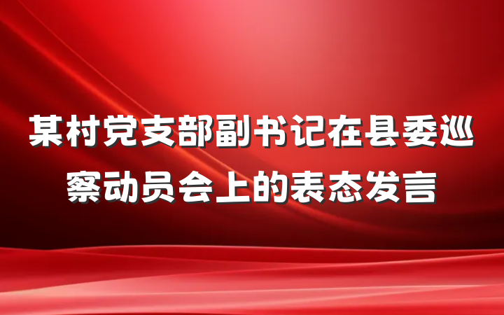 某村党支部副书记在县委巡察动员会上的表态发言