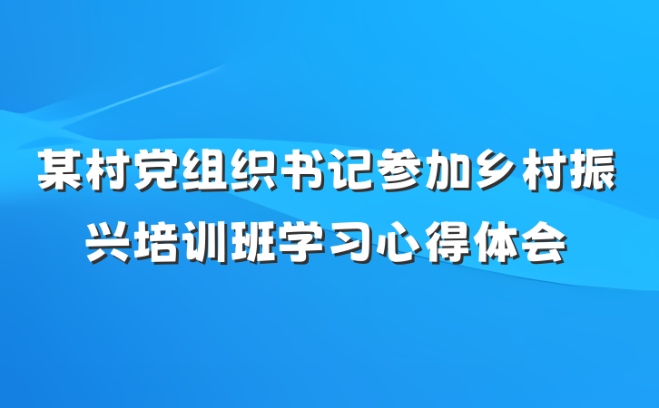 某村党组织书记参加乡村振兴培训班学习心得体会