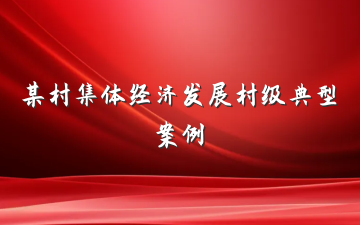 某村集体经济发展村级典型案例
