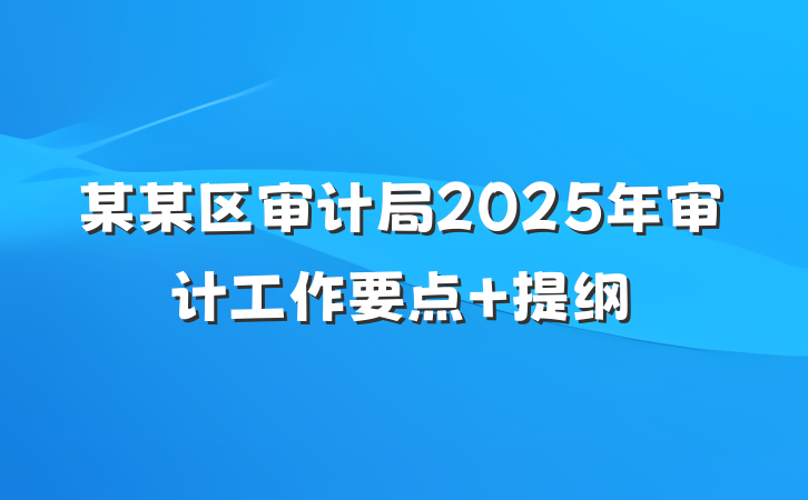 某某区审计局2025年审计工作要点 提纲