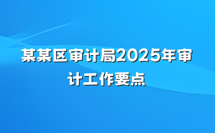 某某区审计局2025年审计工作要点
