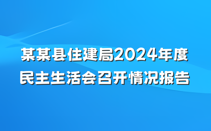 某某县住建局2024年度民主生活会召开情况报告