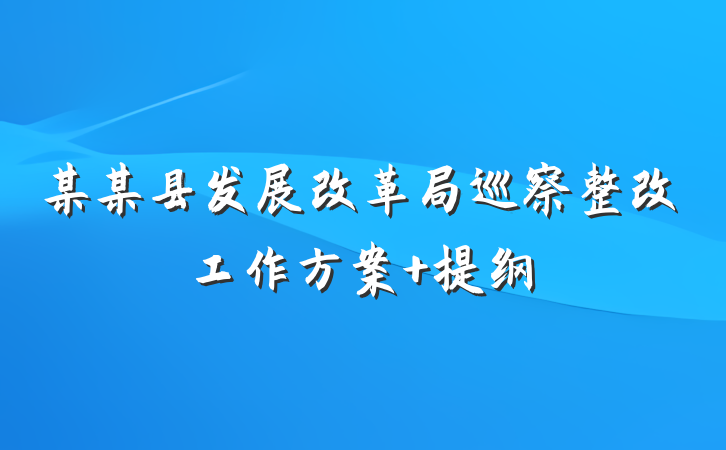 某某县发展改革局巡察整改工作方案 提纲