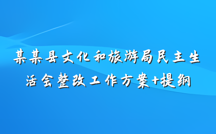 某某县文化和旅游局民主生活会整改工作方案 提纲