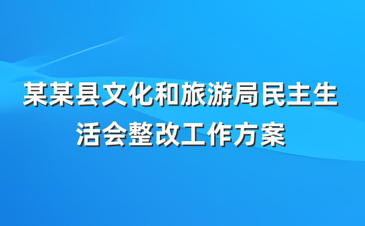 某某县文化和旅游局民主生活会整改工作方案