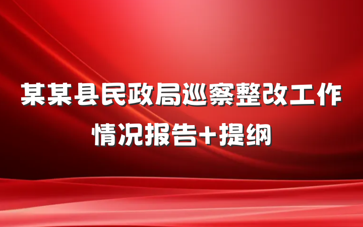 某某县民政局巡察整改工作情况报告 提纲