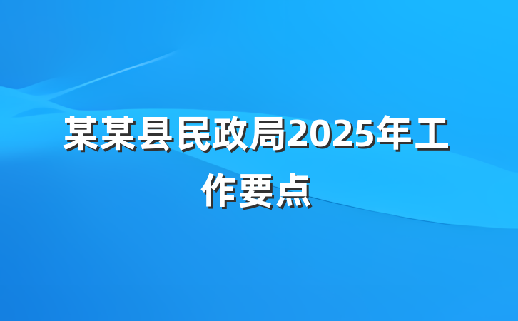 某某县民政局2025年工作要点