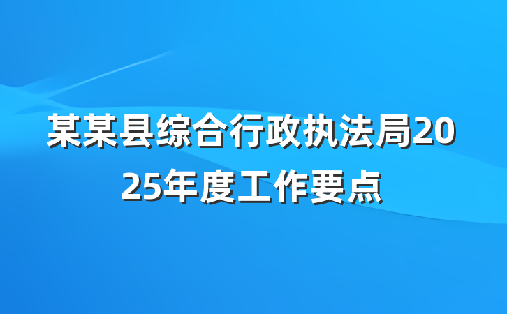 某某县综合行政执法局2025年度工作要点