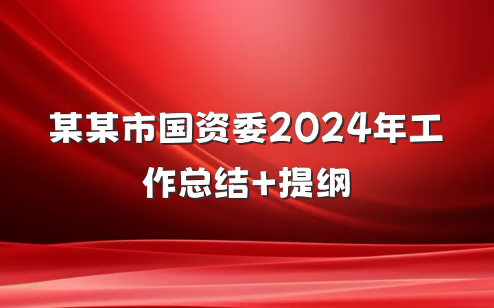 某某市国资委2024年工作总结 提纲