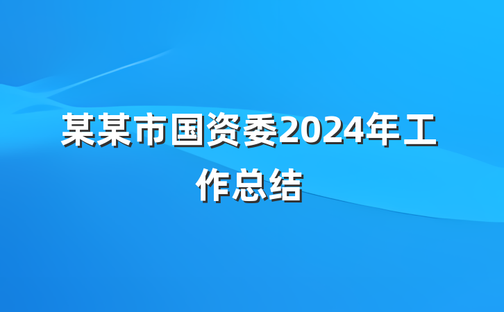 某某市国资委2024年工作总结