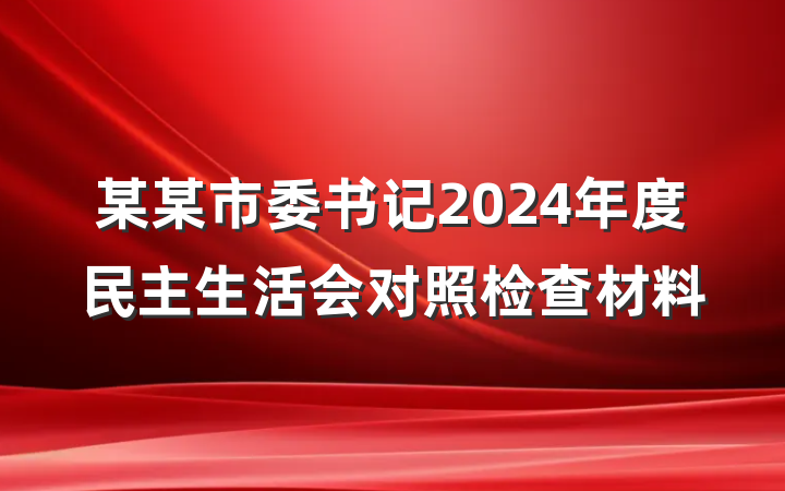 某某市委书记2024年度民主生活会对照检查材料