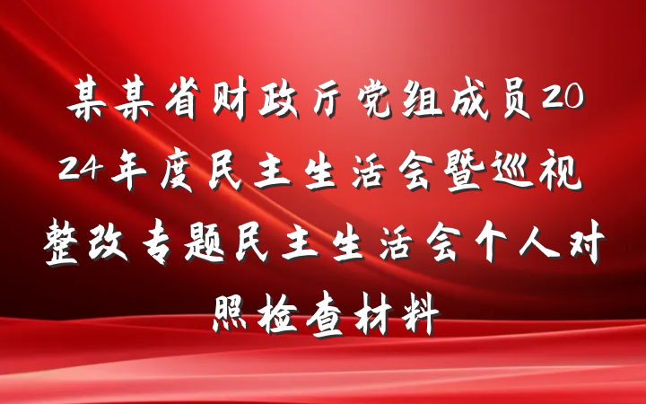 某某省财政厅党组成员2024年度民主生活会暨巡视整改专题民主生活会个人对照检查材料